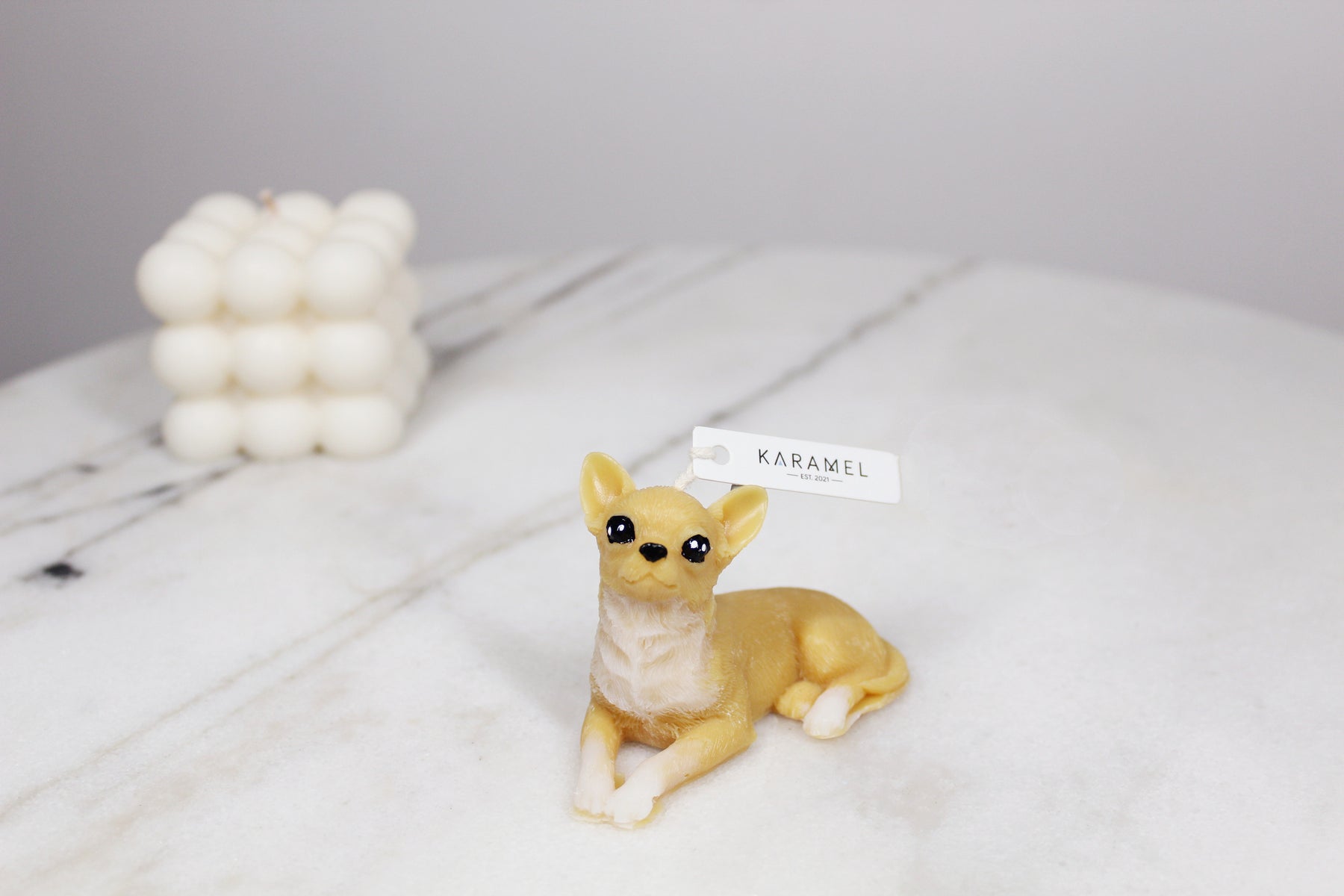 Chihuahua Candle (Small) | Dog Candle | Puppy Candle