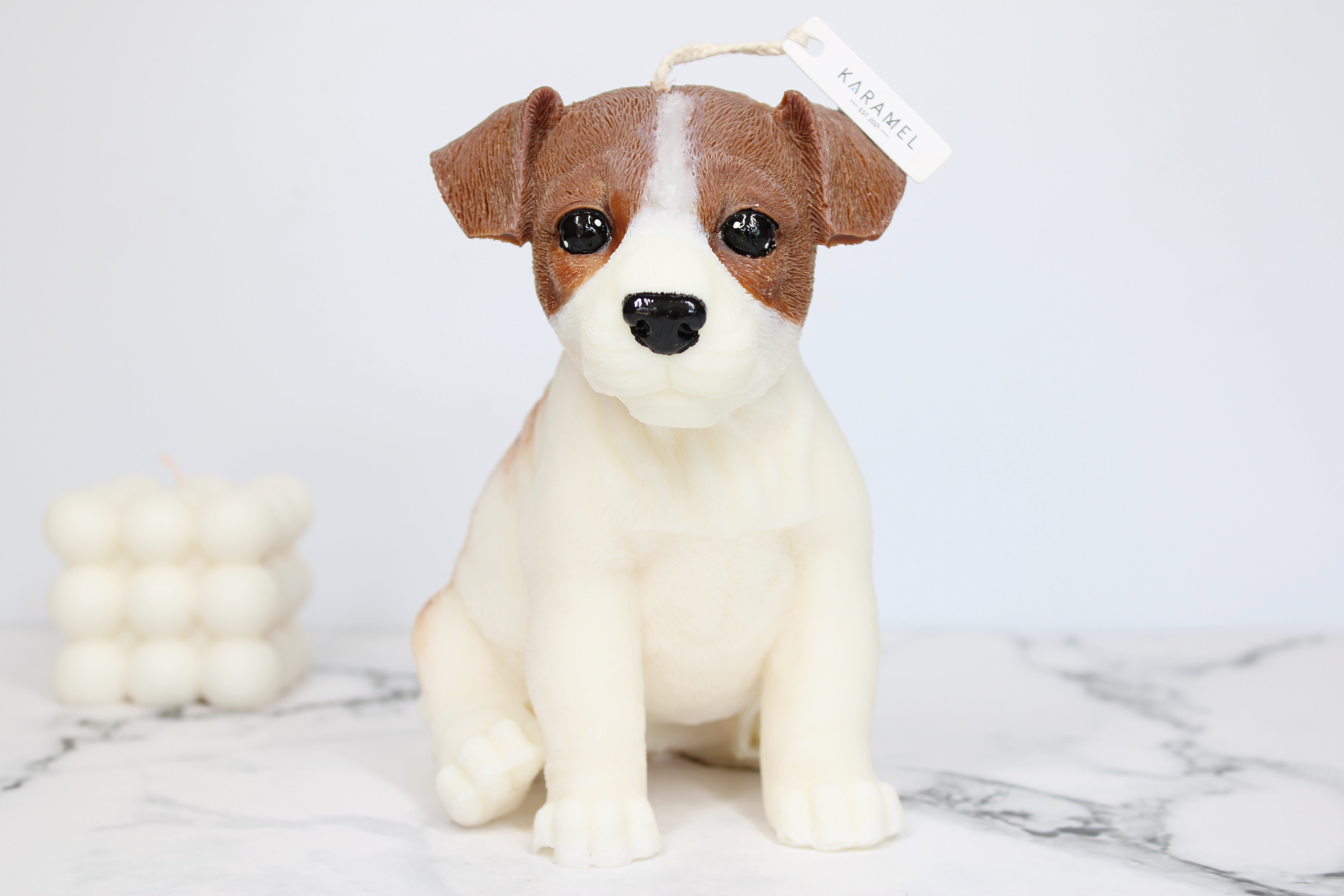 Tazza cane Jack Russell Palais Royal - Pirani Pet Shop