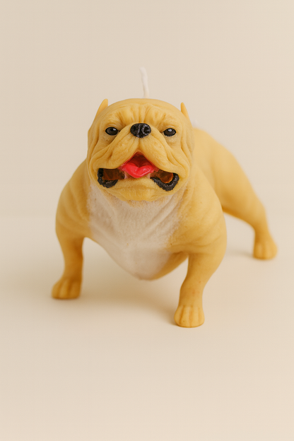 American Bully Candle | Dog Candle | Puppy Candle