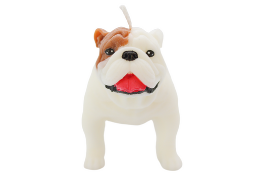 Bulldog Candle | Dog Candle | Puppy Candle