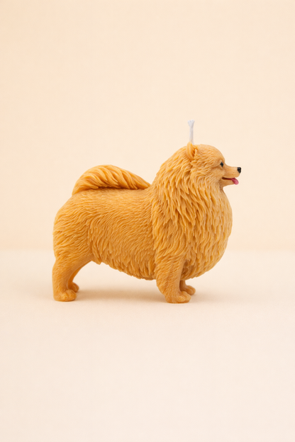 Pomeranian Candle | Dog Candle | Puppy Candle
