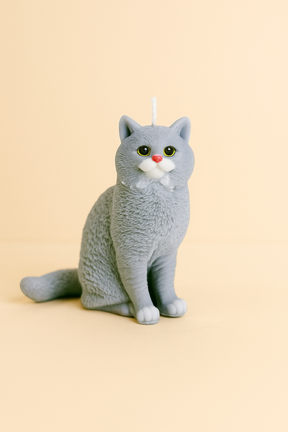 British Shorthair | Cat Candle | Kitty Candle