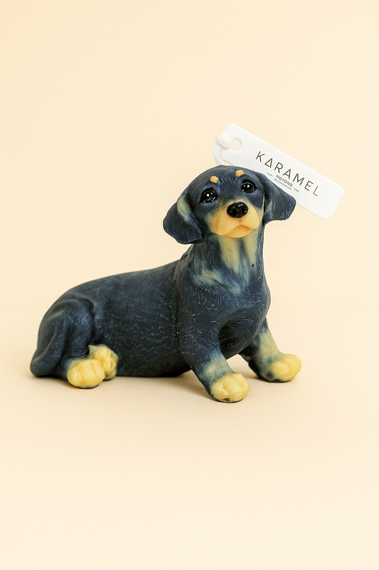 Dachshund Candle | Dog Candle | Puppy Candle