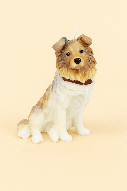 Rough Collie | Dog Candle | Puppy Candle