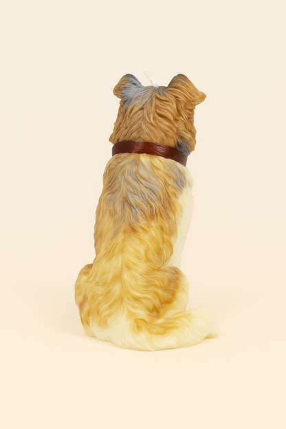 Rough Collie | Dog Candle | Puppy Candle