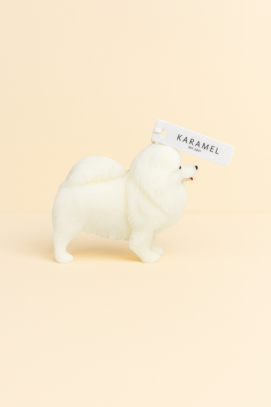 Pomeranian Candle | Dog Candle | Puppy Candle