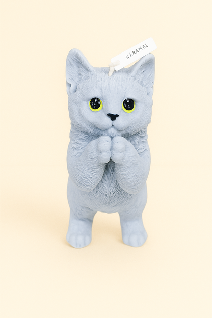 Praying Cat Candle | Cat Candle | Kitty Candle