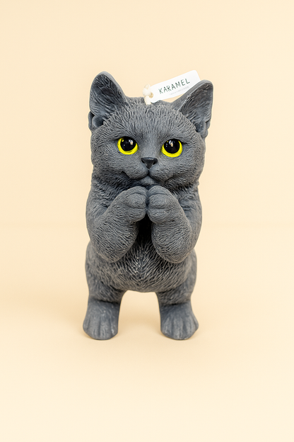 Praying Cat Candle | Cat Candle | Kitty Candle