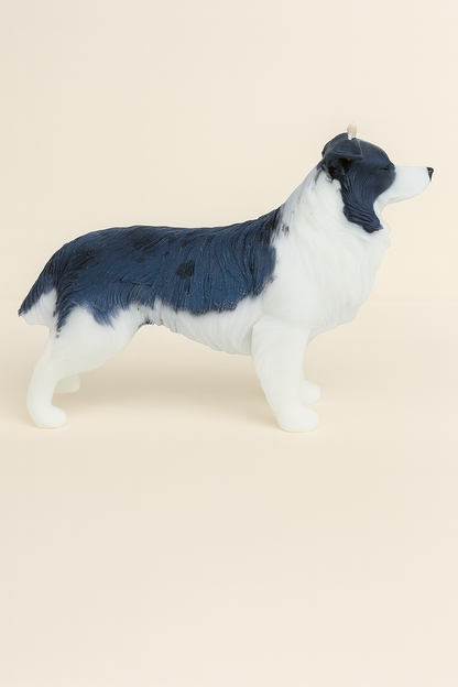 Border Collie | Dog Candle | Puppy Candle
