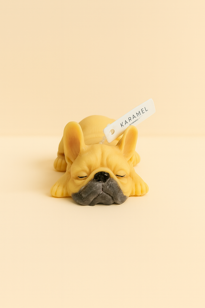 Sleeping French Bulldog Candle | Dog Candle | Puppy Candle