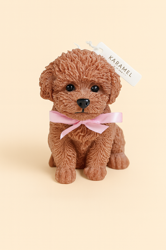 Toy Poodle Candle | Dog Candle | Puppy Candle