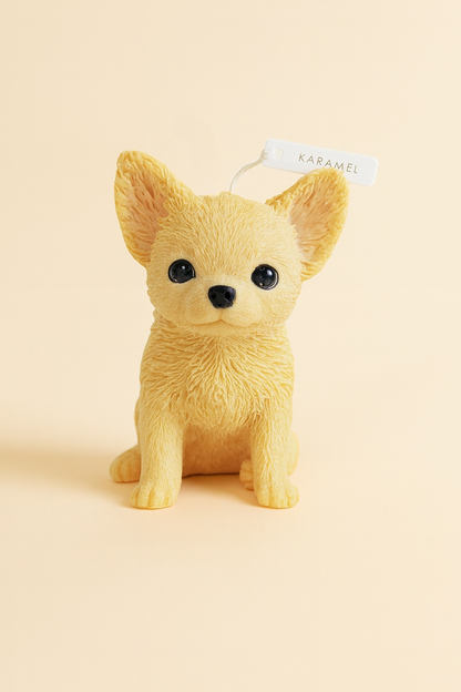Chihuahua Candle | Dog Candle | Puppy Candle