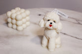 Poodle Candle | Dog Candle | Puppy Candle