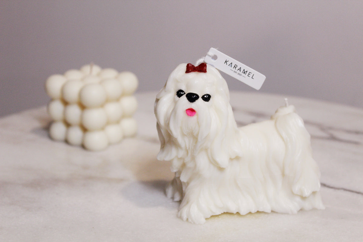 Maltese Dog Candle | Dog Candle | Puppy Candle