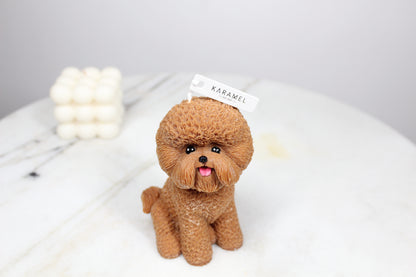 Bichon Frisé Candle | Dog Candle | Puppy Candle