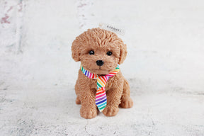 Rainbow Toy Poodle Candle