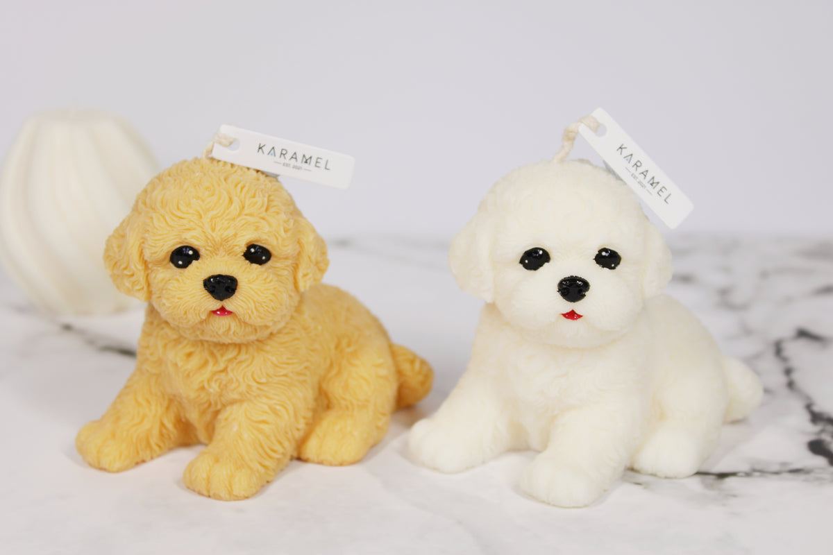 Sitting Bichon Frisé Candle | Dog Candle | Puppy Candle