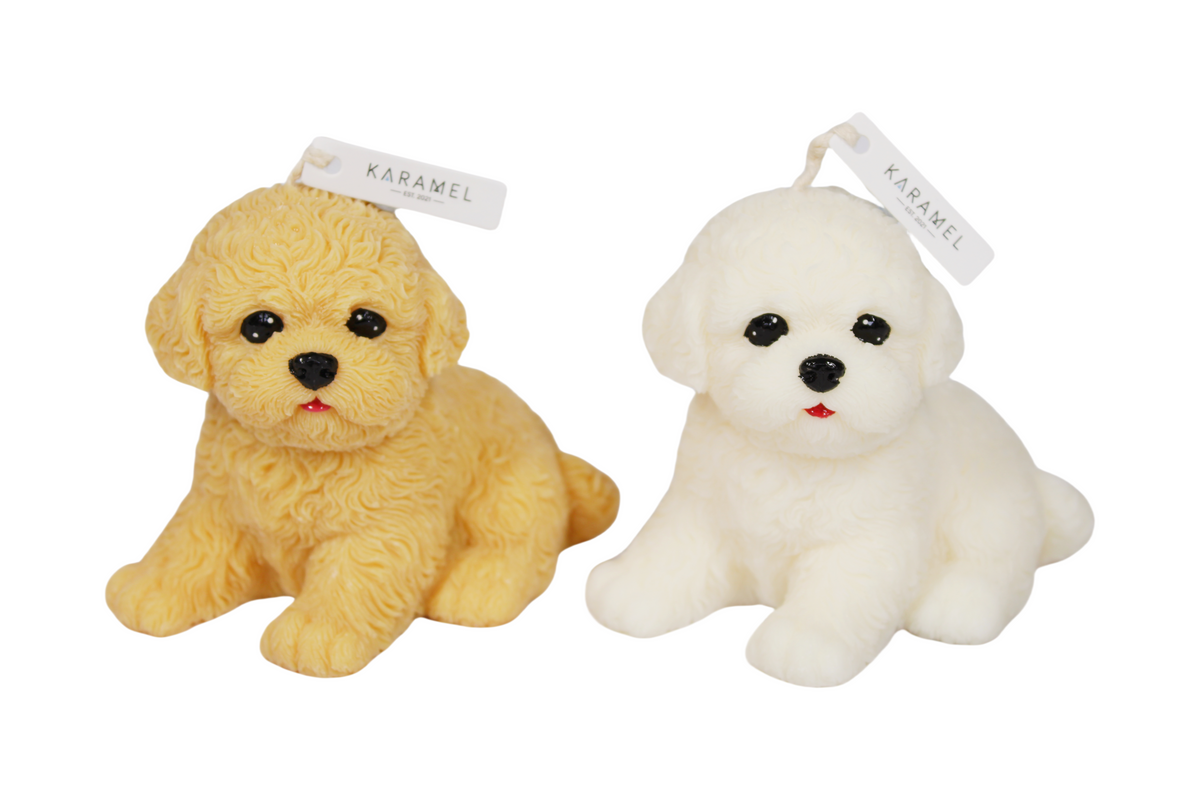 Sitting Bichon Frisé Candle | Dog Candle | Puppy Candle