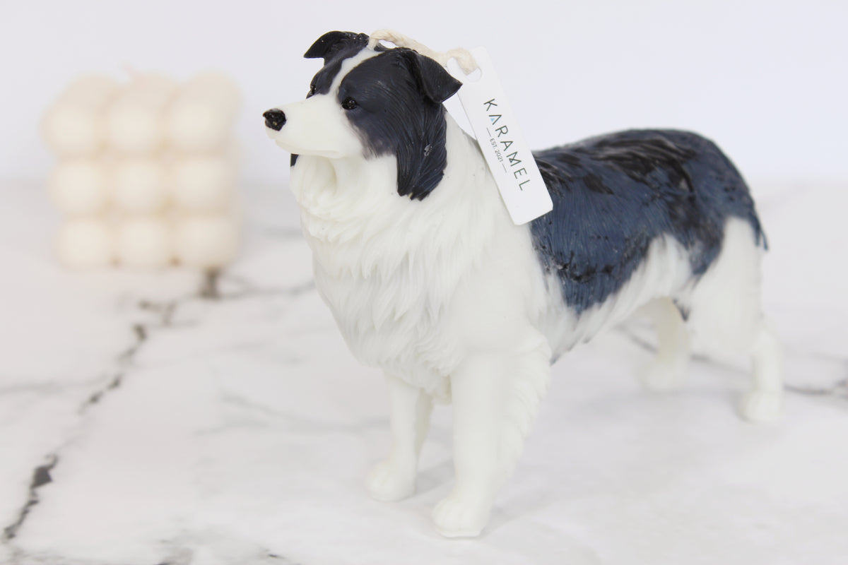 Border Collie | Dog Candle | Puppy Candle