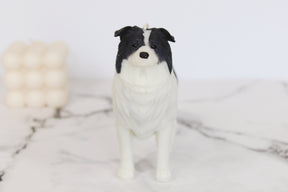 Border Collie | Dog Candle | Puppy Candle