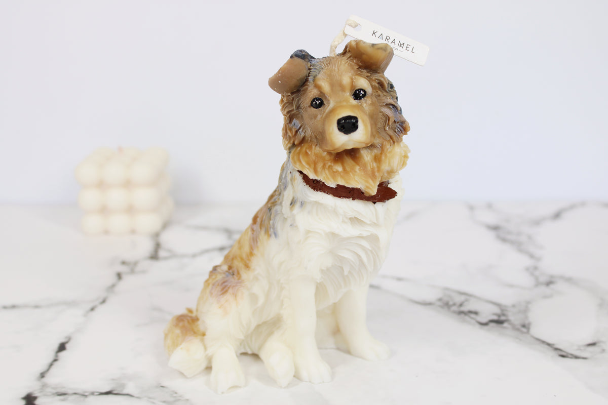 Rough Collie | Dog Candle | Puppy Candle