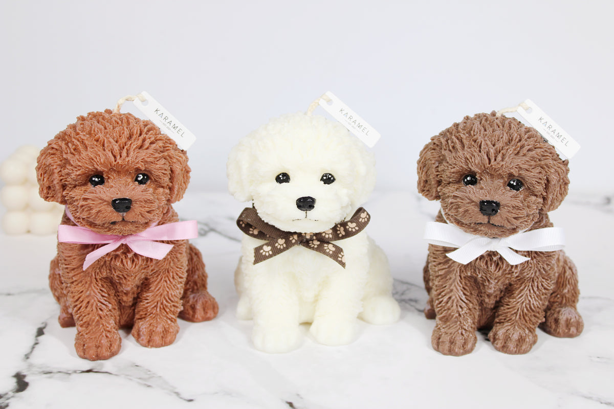 Toy Poodle Candle | Dog Candle | Puppy Candle