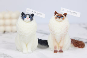 Ragdoll Cat Candle | Cat Candle | Kitty Candle