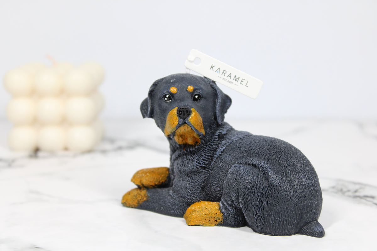 Rottweiler Candle - Small | Dog Candle | Puppy Candle