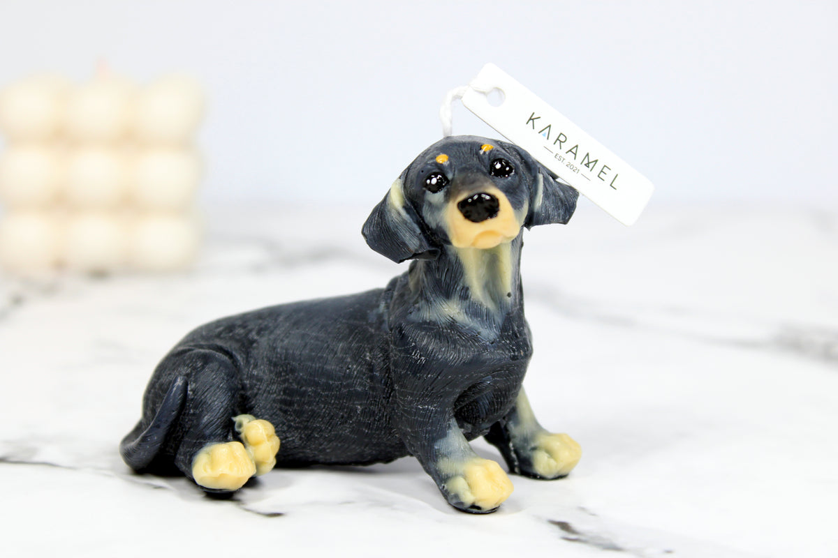 Dachshund Candle | Dog Candle | Puppy Candle