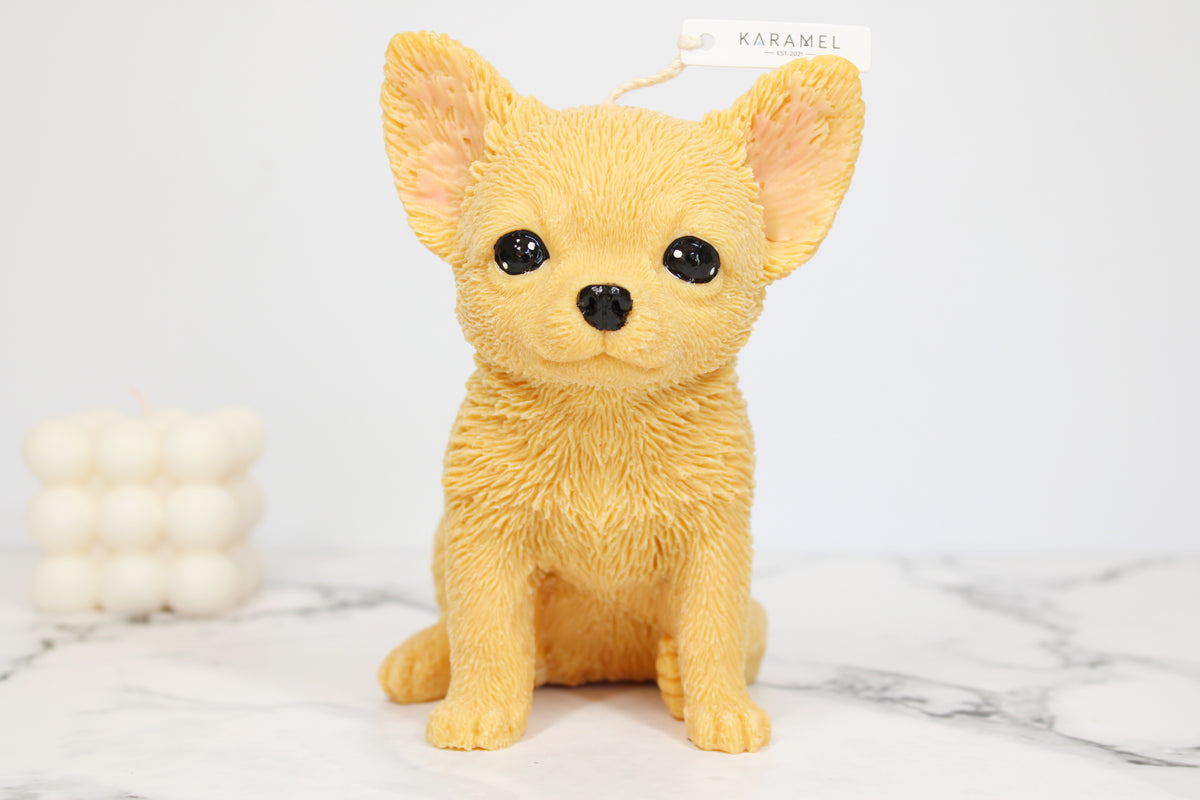 Chihuahua Candle | Dog Candle | Puppy Candle