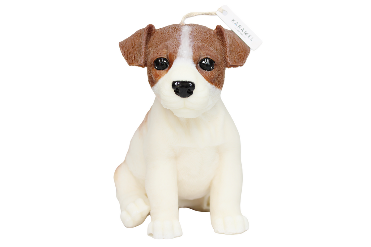 Jack Russell Dog Candle | Dog Candle | Puppy Candle