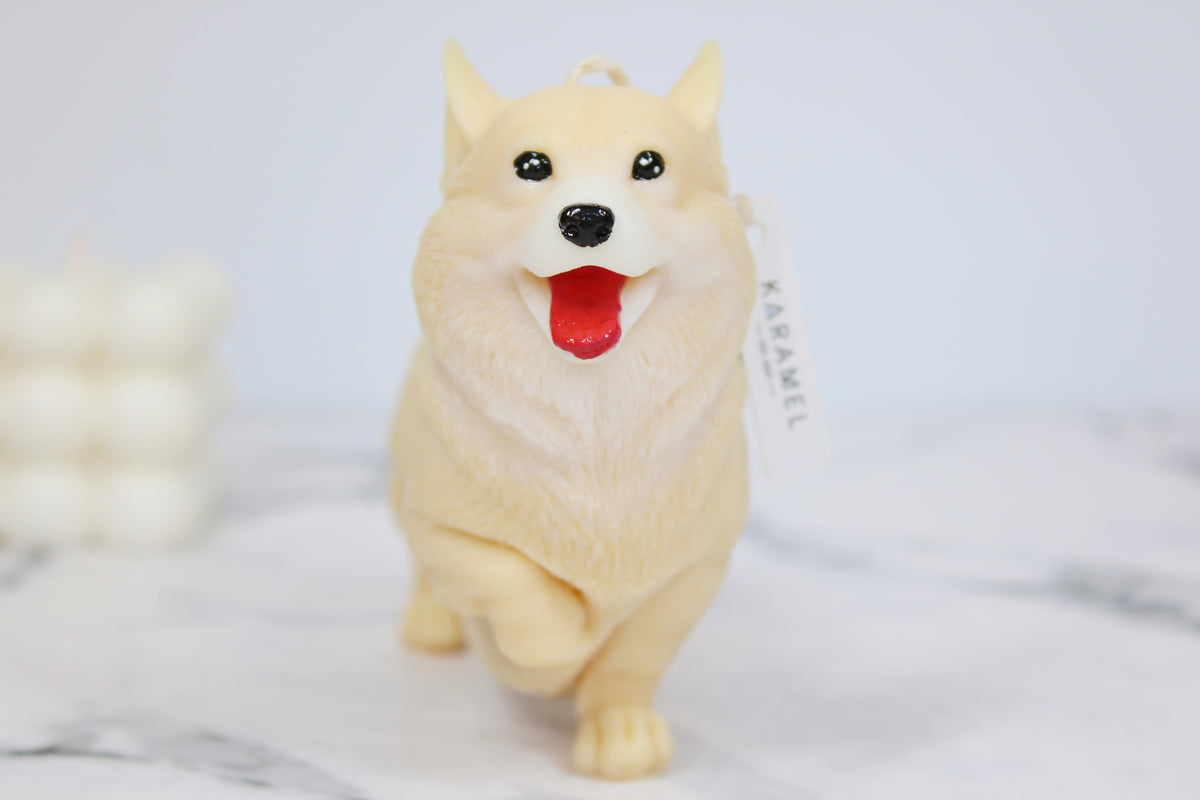 Corgi Candle | Dog Candle | Puppy Candle