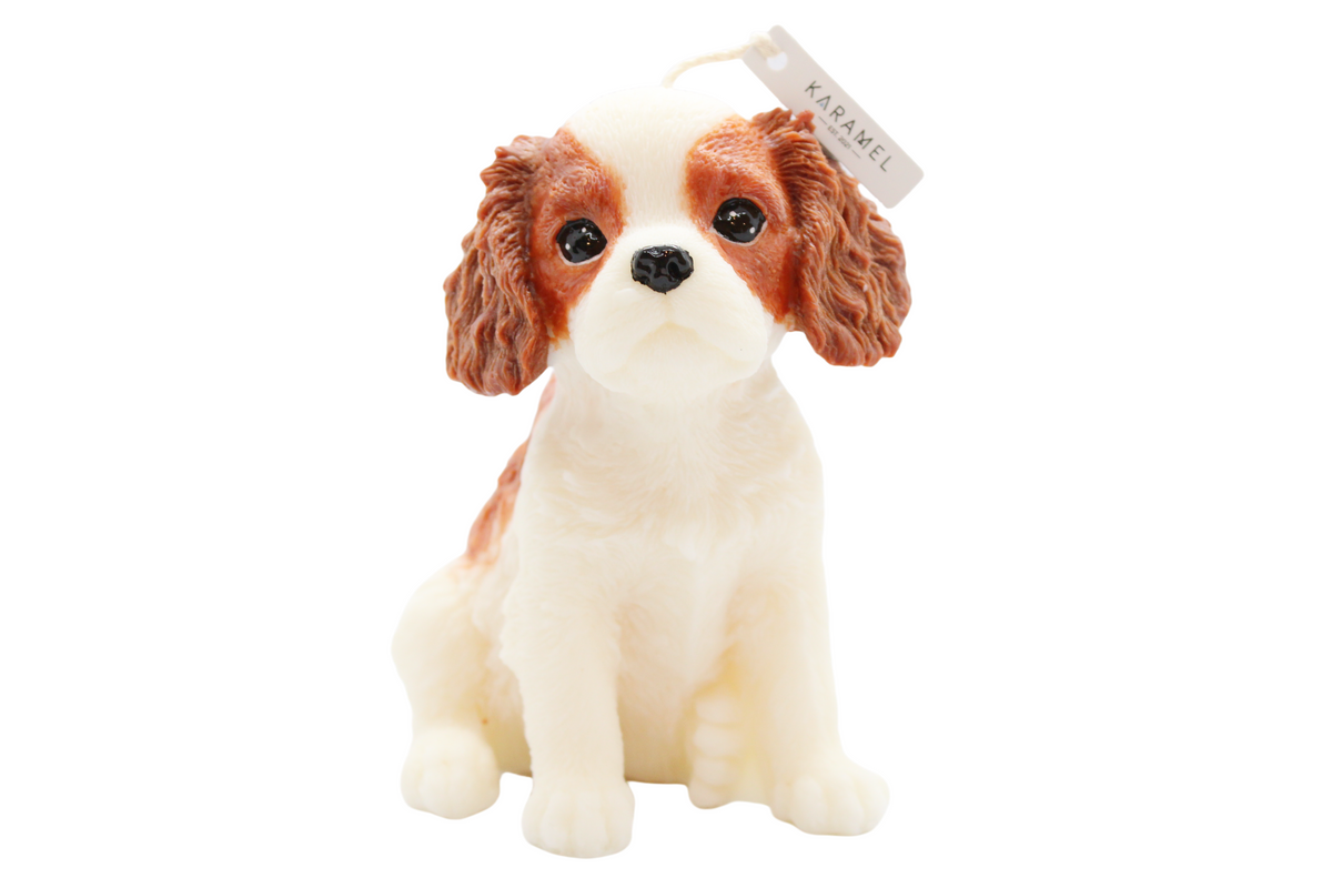 Cavalier King Charles Spaniel Candle | Dog Candle | Puppy Candle