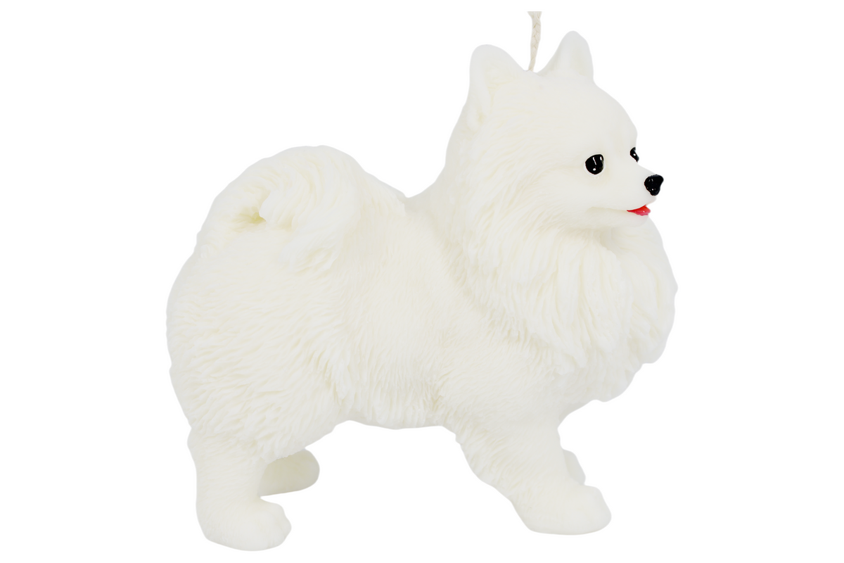 Large Pomeranian Candle | Dog Candle | Puppy Candle | Animal Candle