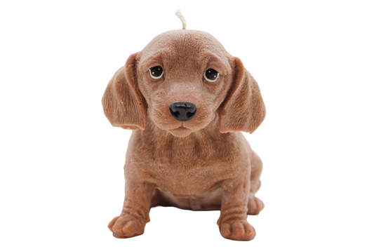 Large Dachshund Candle | Dog Candle | Puppy Candle