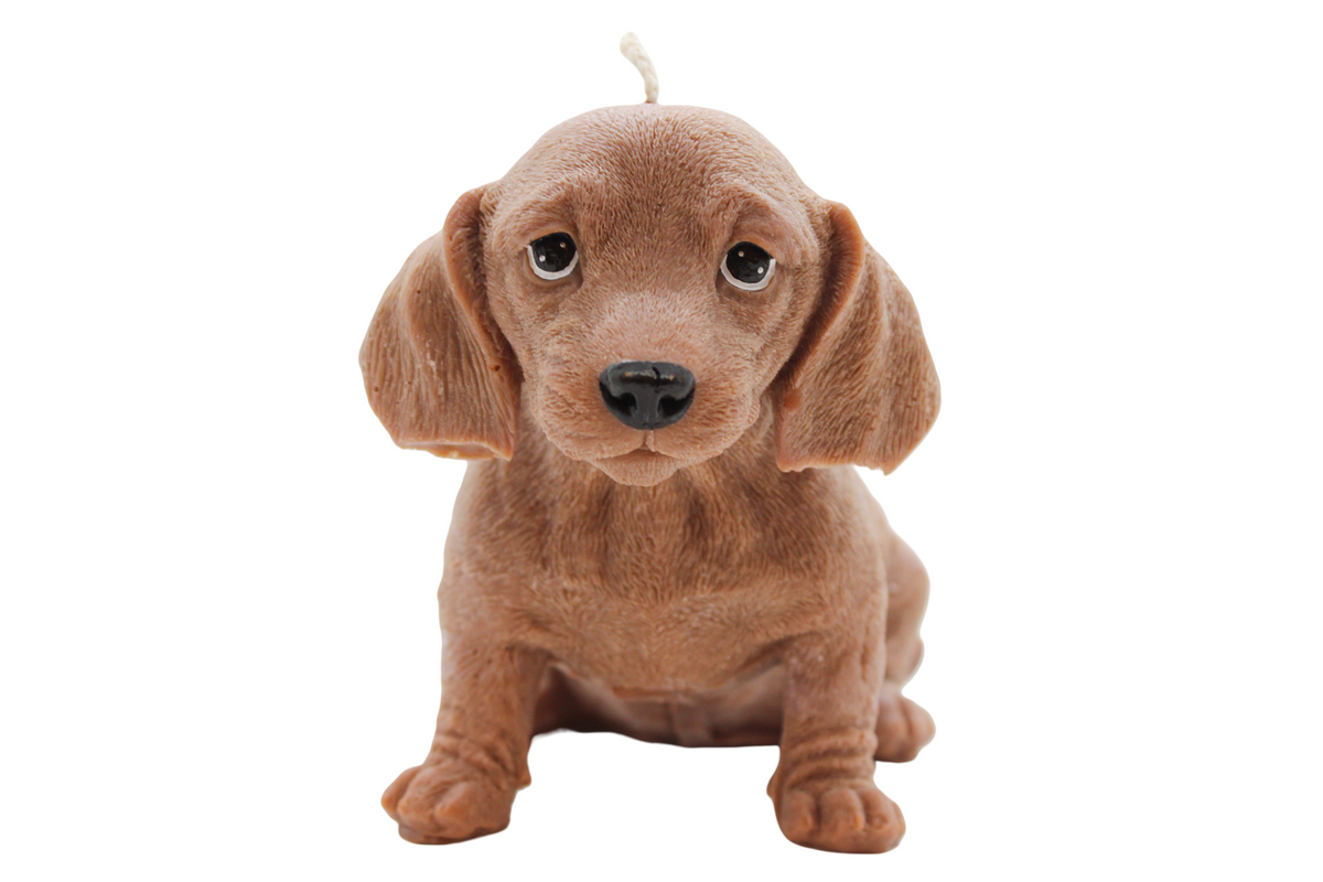 Large Dachshund Candle | Dog Candle | Puppy Candle