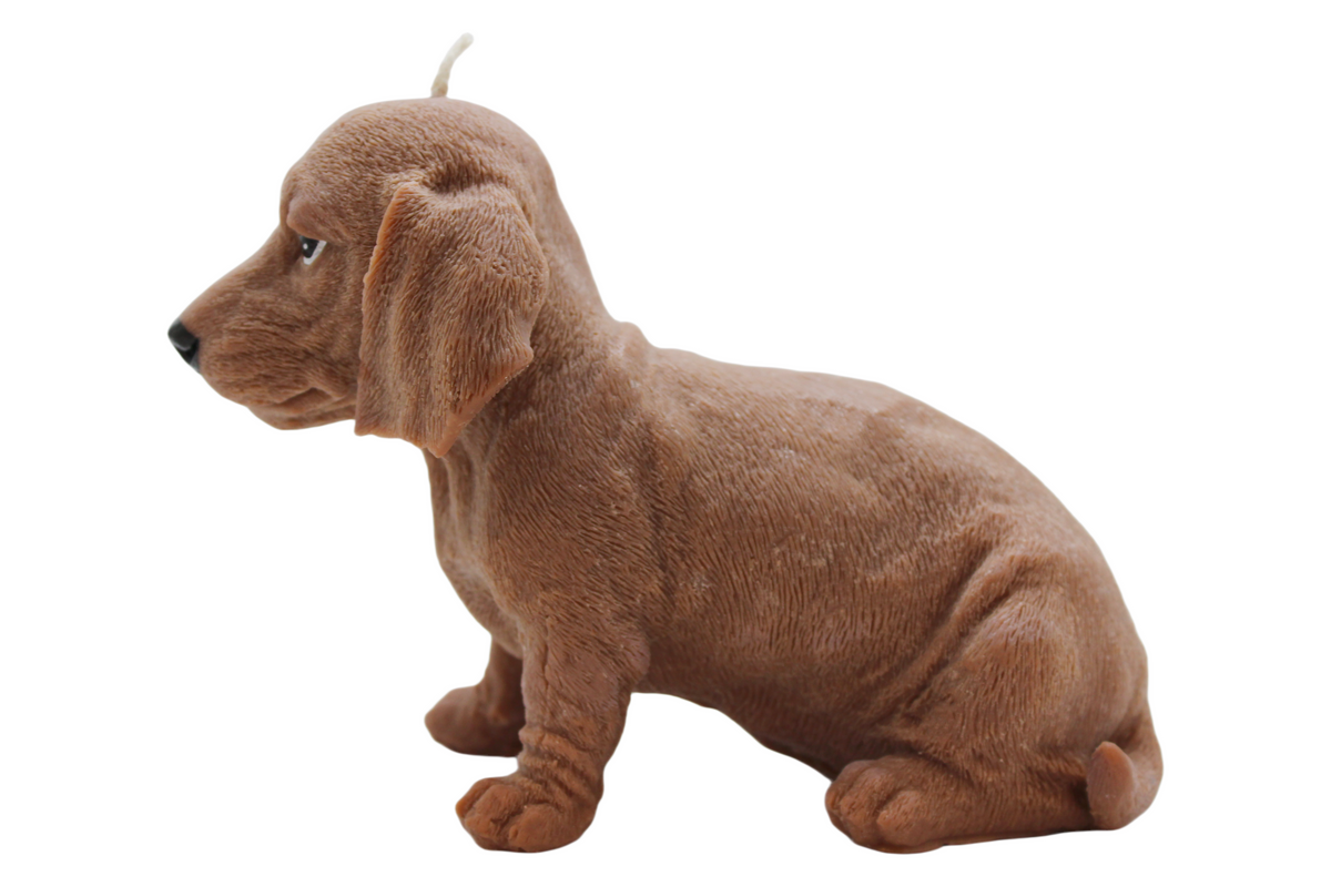 Large Dachshund Candle | Dog Candle | Puppy Candle