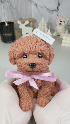 Toy Poodle Candle | Dog Candle | Puppy Candle