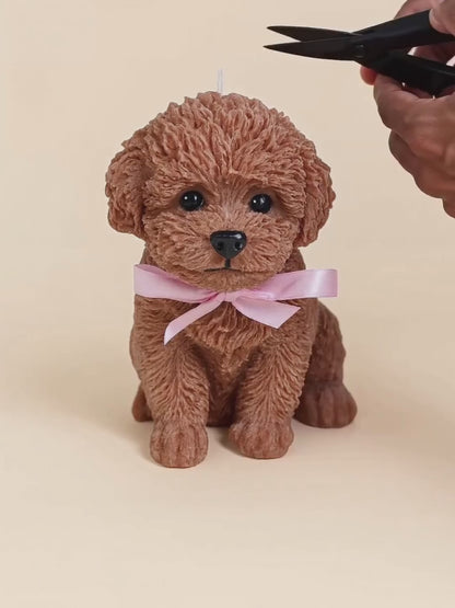 Toy Poodle Candle | Dog Candle | Puppy Candle